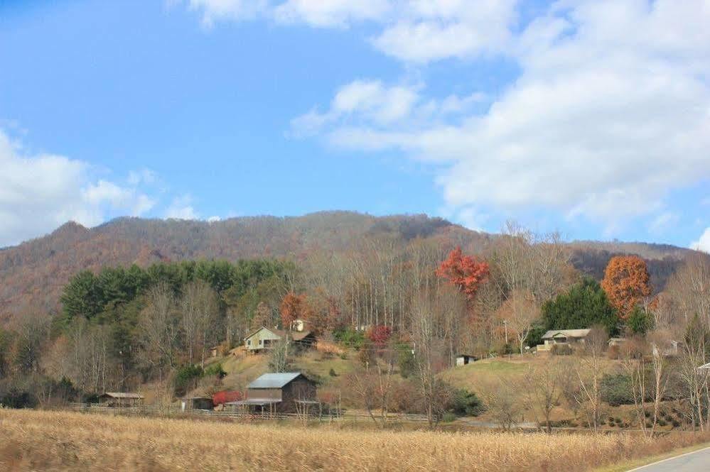 The Yellow House On Plott Creek Waynesville Eksteriør billede