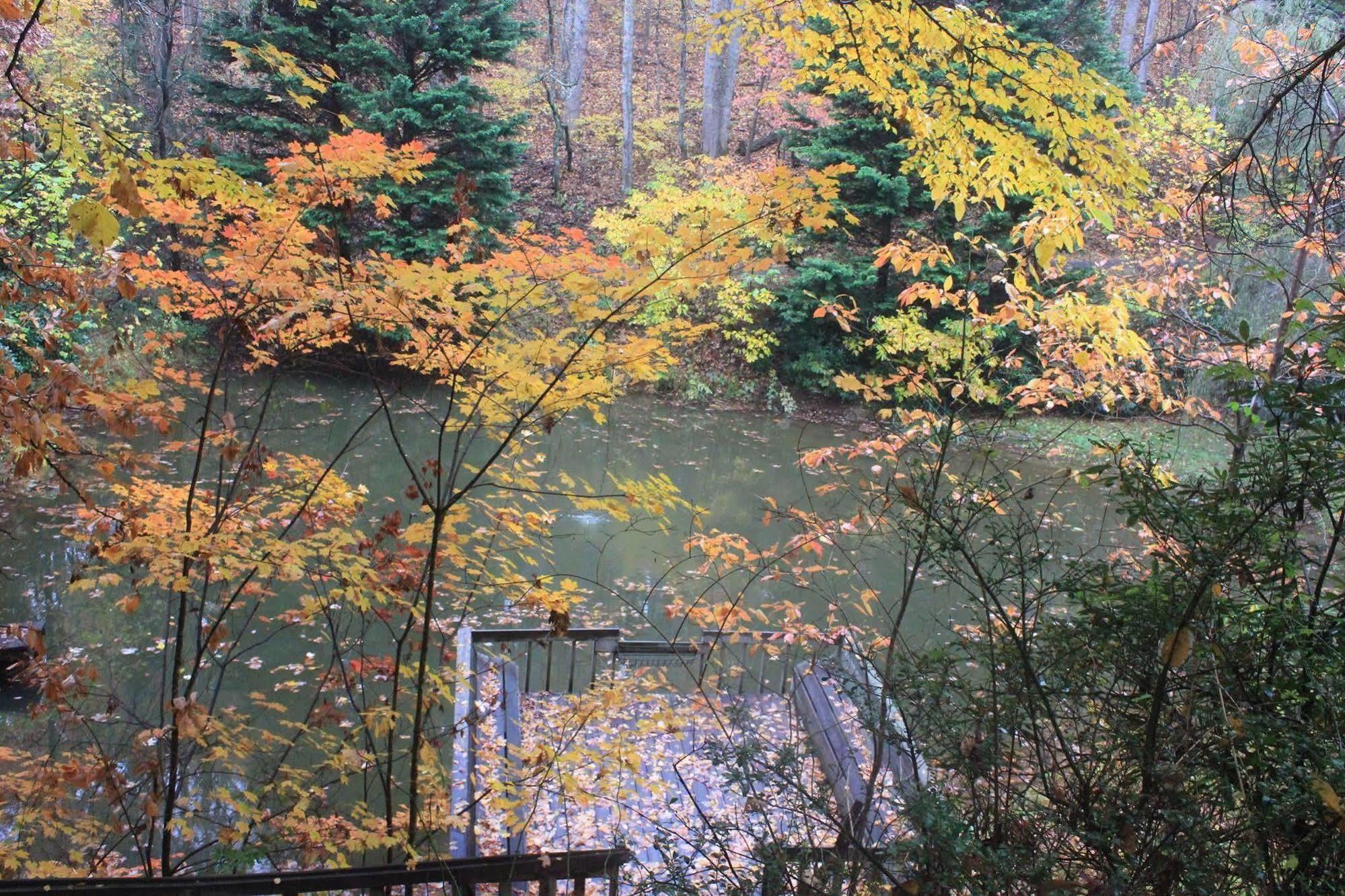 The Yellow House On Plott Creek Waynesville Eksteriør billede