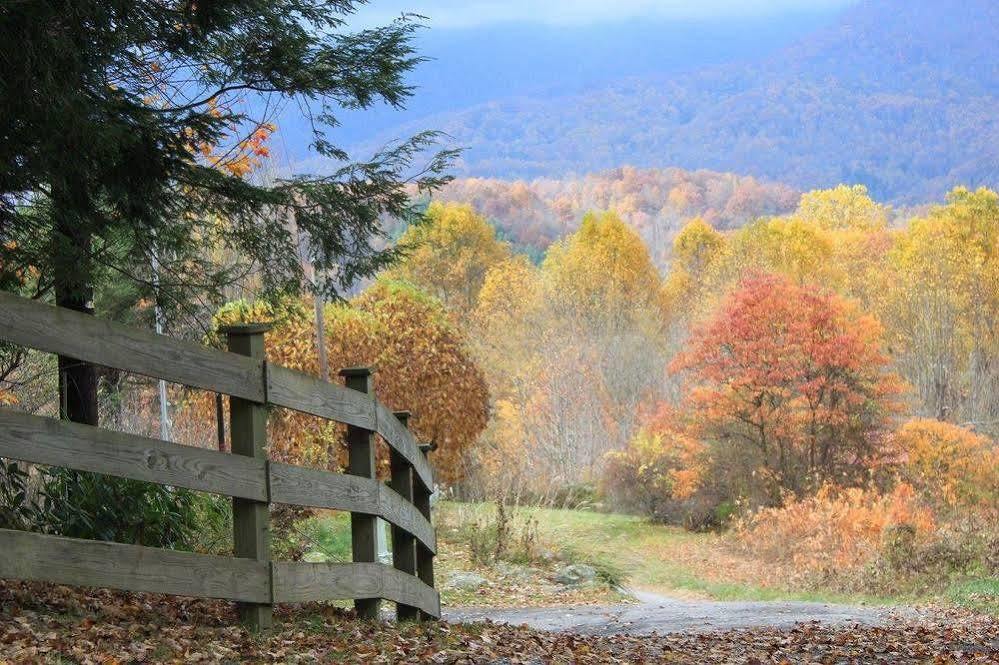 The Yellow House On Plott Creek Waynesville Eksteriør billede